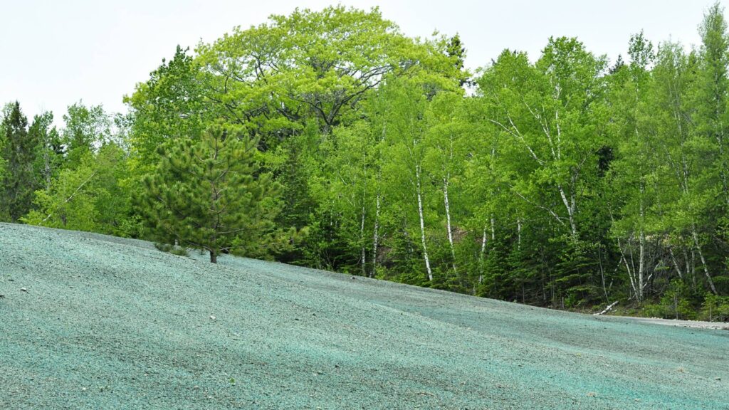 hydroseeding New Zealand