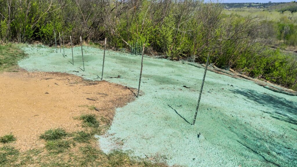 hydroseeding Hawkes bay