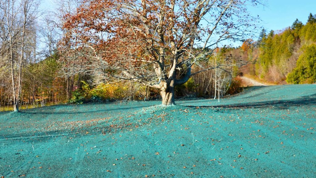 hydroseeding