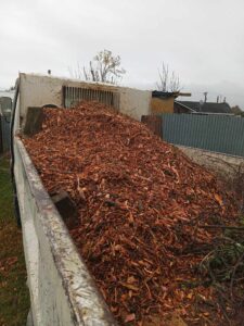 mulch from tree